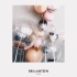 Ballons Helium Plafond